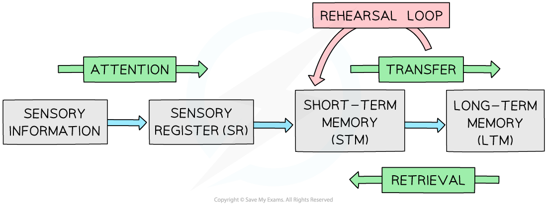 msm-diagram-1