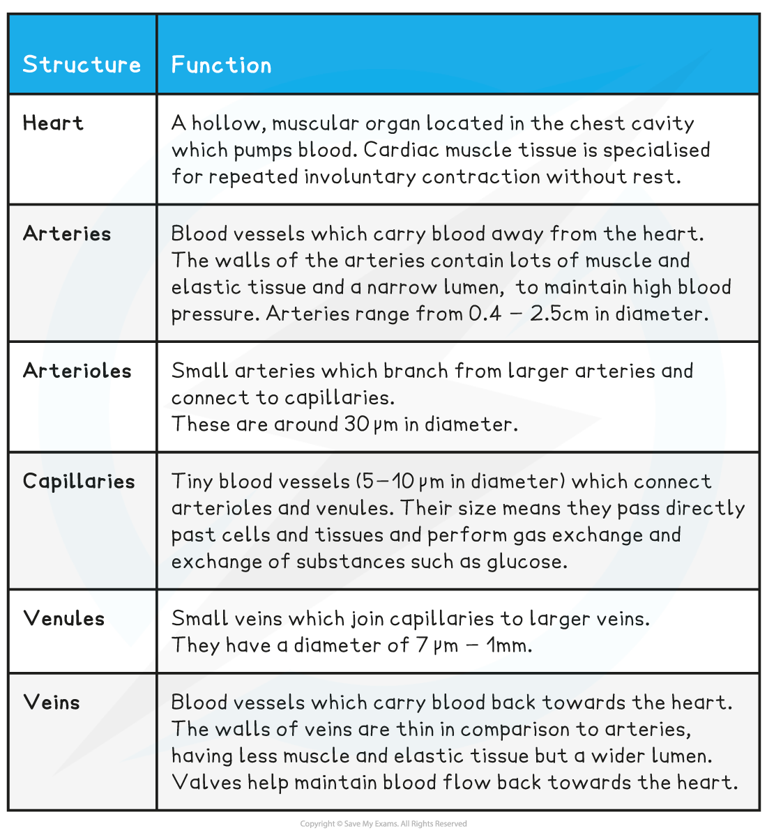 1.-Closed-Double-Circulatory-System-Table