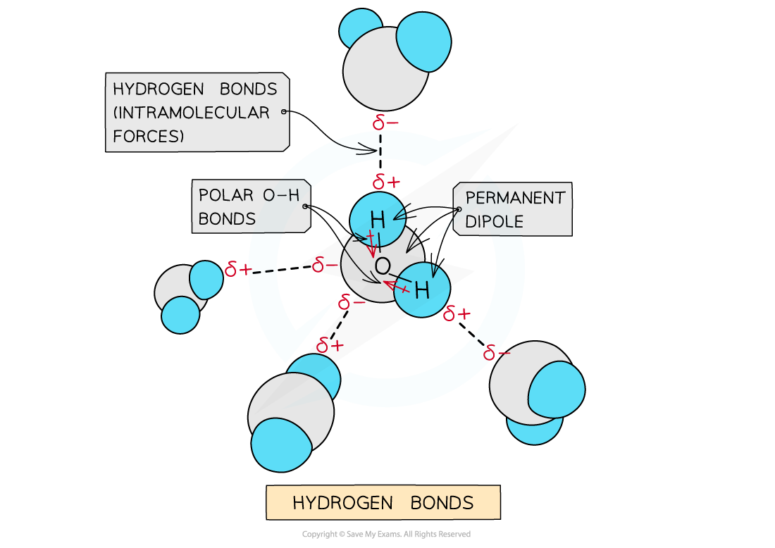 1.3-Chemical-Bonding-Intermolecular-Forces-3