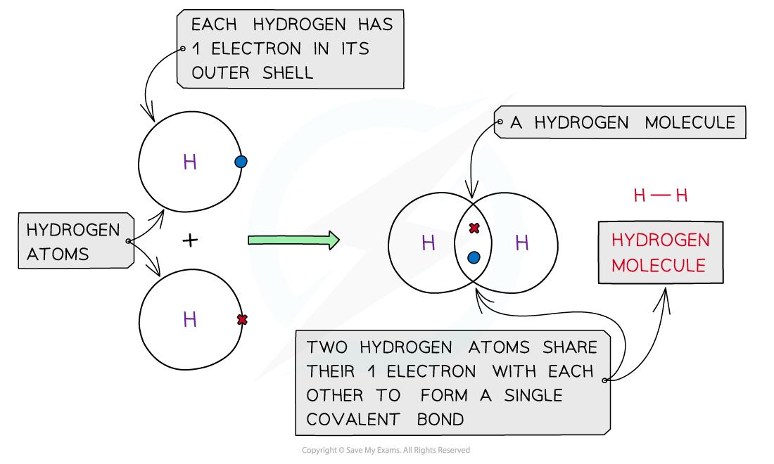 1.3-Chemical-Bonding-Single-Covalent-Bonding-Hydrogen