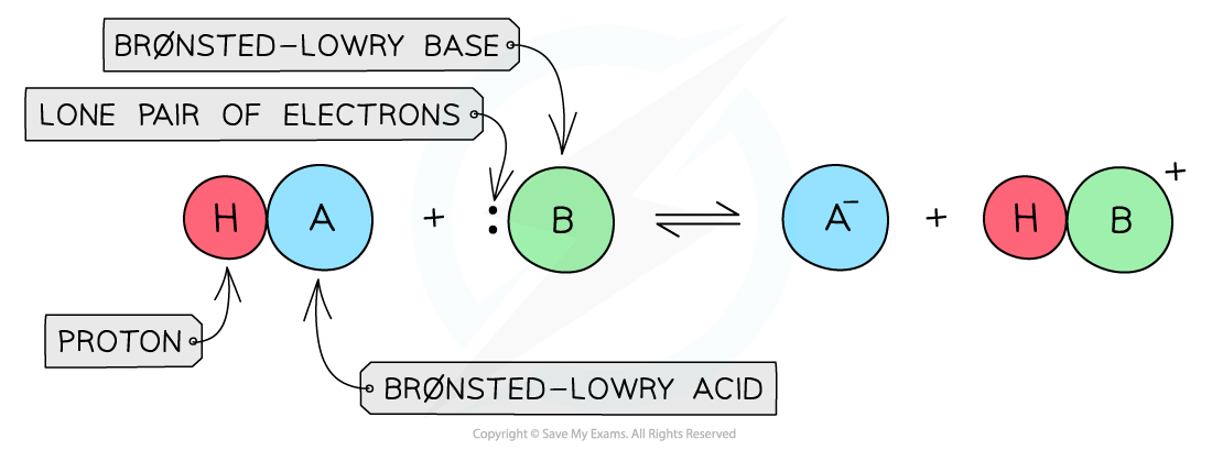 1.7-Equilibria-Bronsted-Lowry-Acid_Base-Definition