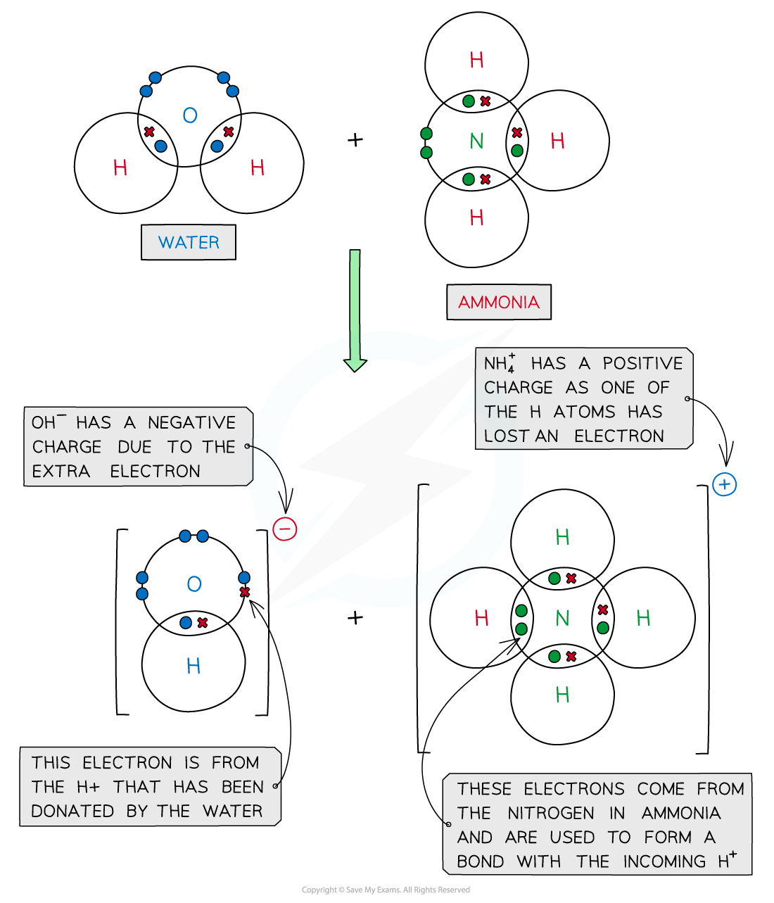 1.7-Equilibria-Dot-Cross-Diagram-of-Reaction-between-Water-and-Ammonia