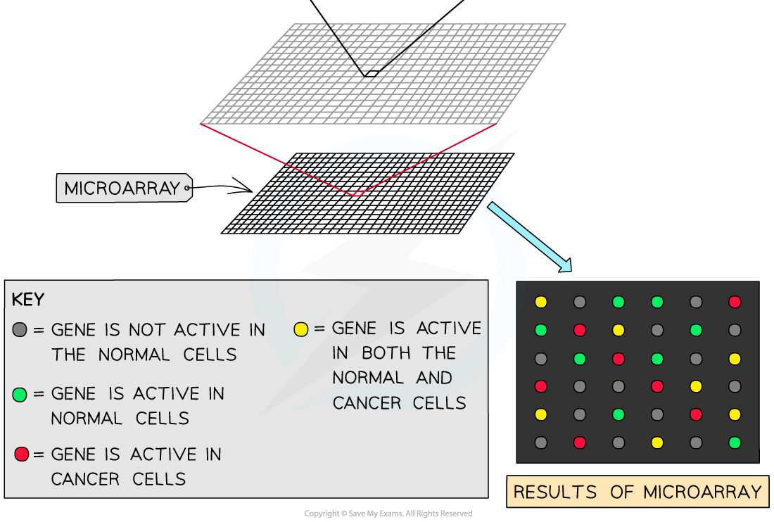 11-Microarrays-3