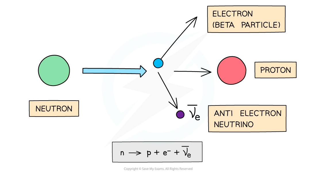11.1.9-Beta-minus-decay-diagram