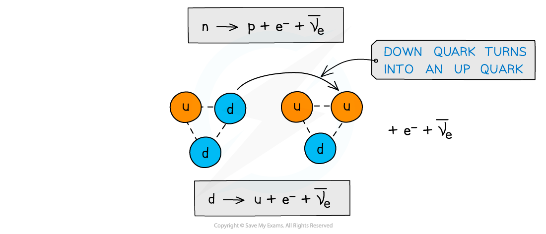 11.2.5-Beta-minus-decay-quarks