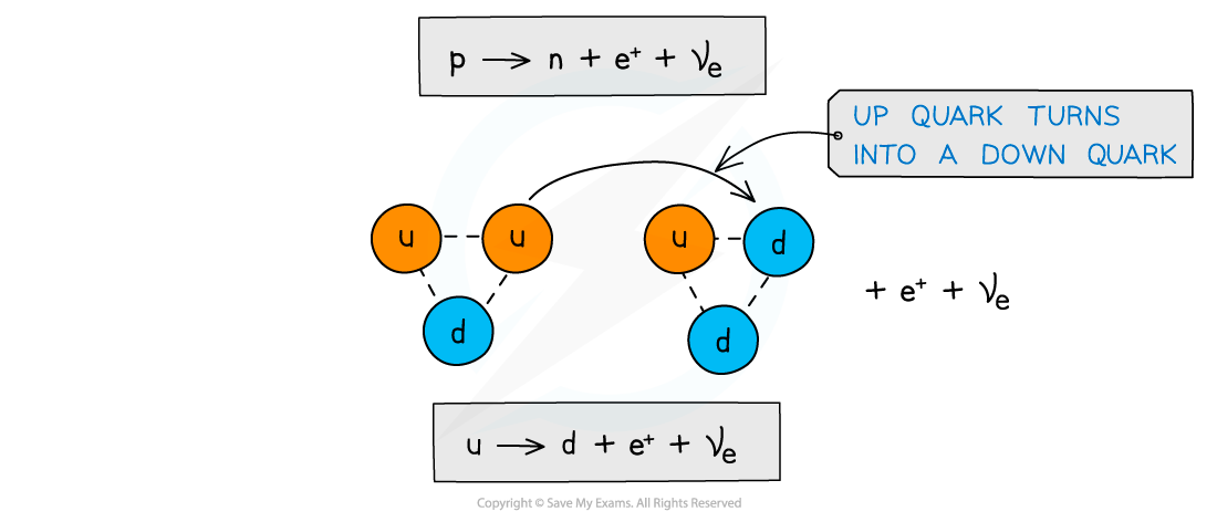 11.2.5-Beta-plus-decay-quarks