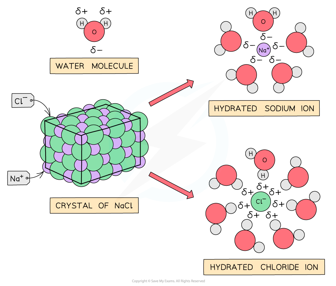 2.1-The-Periodic-Table-Hydration-of-Sodium-Chloride