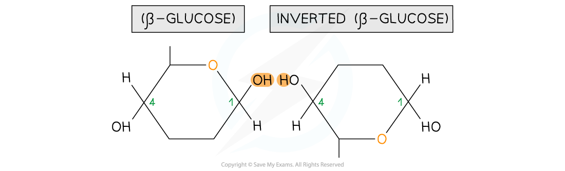 2.2.1-Formation-of-Sugars-1