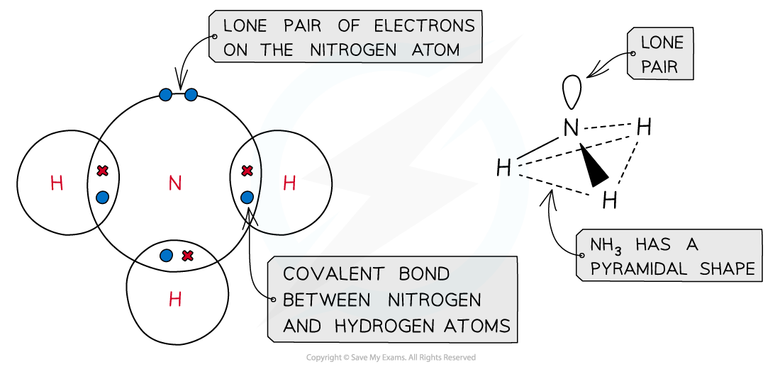 2.4-Nitrogen-Sulfur-Shape-and-Structure-Ammonia