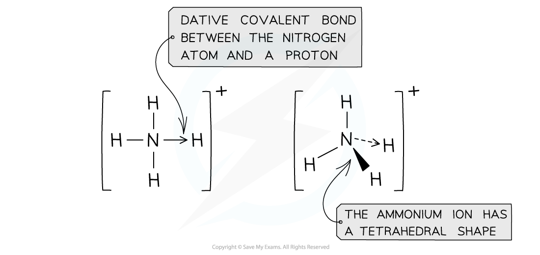 2.4-Nitrogen-Sulfur-Shape-and-Structure-Ammonium-Ion