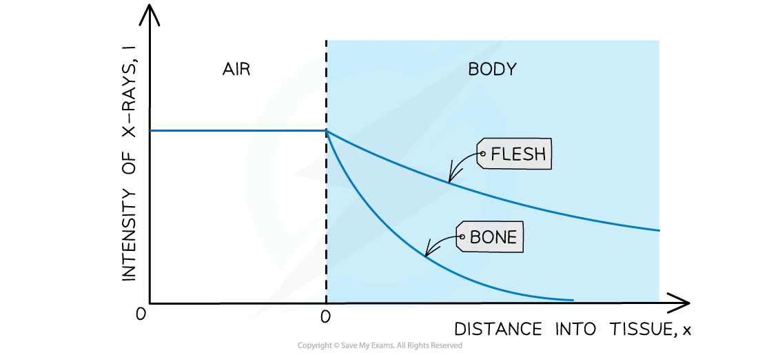 24.1-Attenuation-of-X-rays