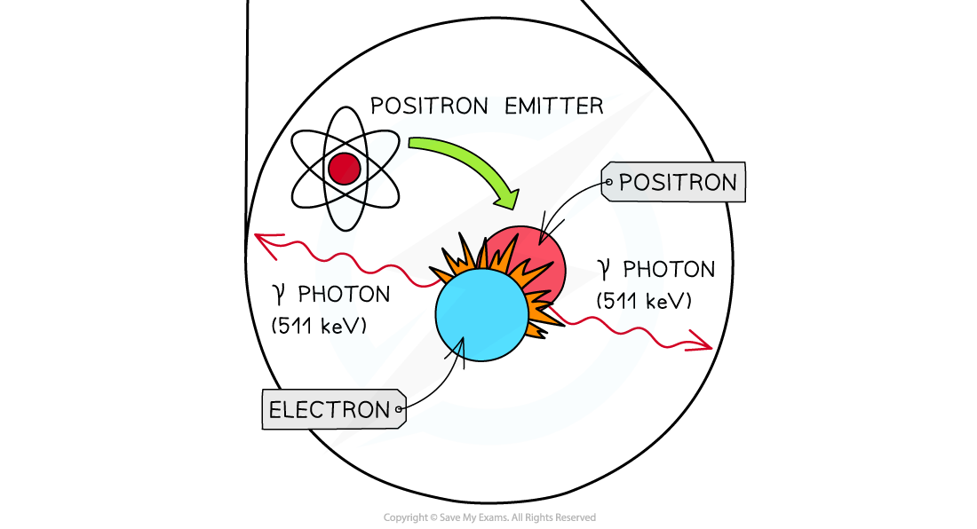 24.2-PET-Scanning-Machine-2