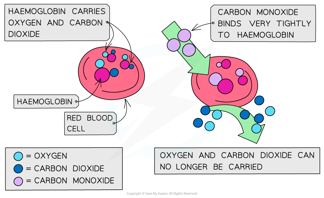 3.2-Hydrocarbons-Toxic-Effect-CO_1