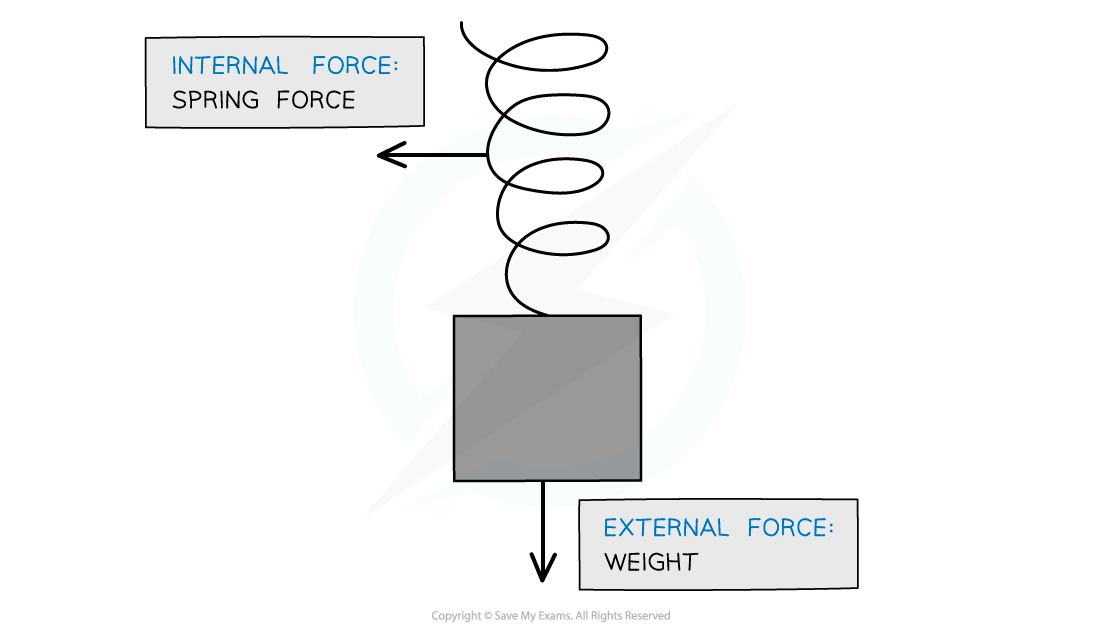 3.2.1.1-External-and-internal-forces-on-a-mass-on-a-spring
