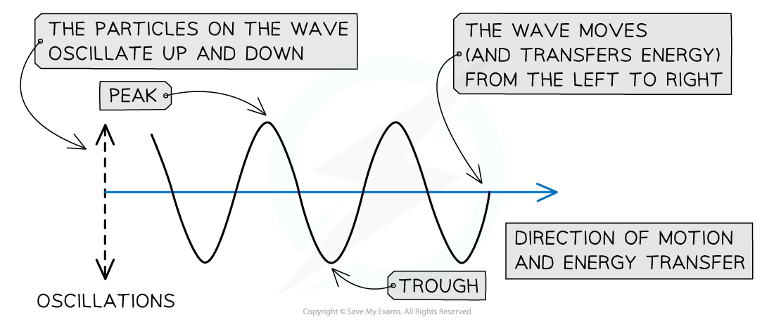 4-2-2-transverse-wave_sl-physics-rn