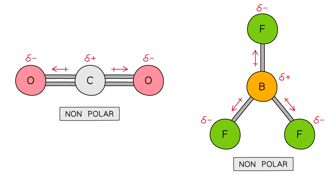 4.1.10-Examples-of-non-polar-molecules