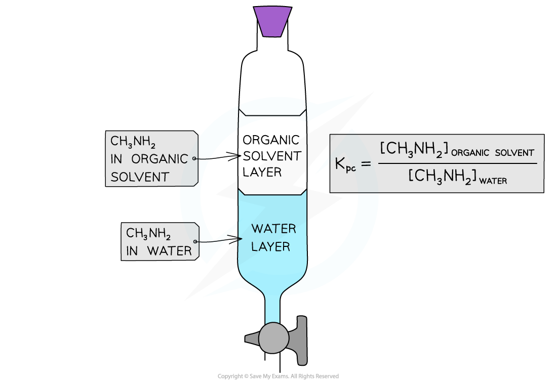 5.5-Equilibria-Partition-Coefficient