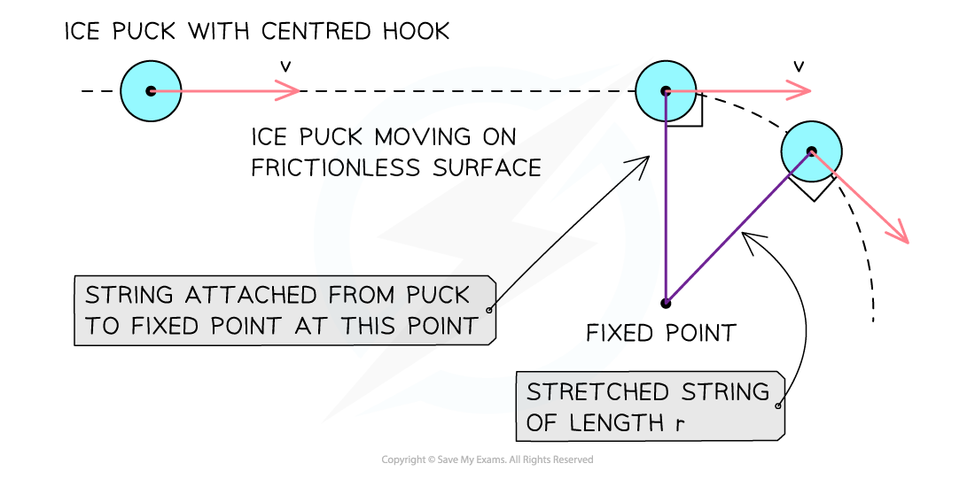 6-1-1-puck-with-net-force_sl-physics-rn