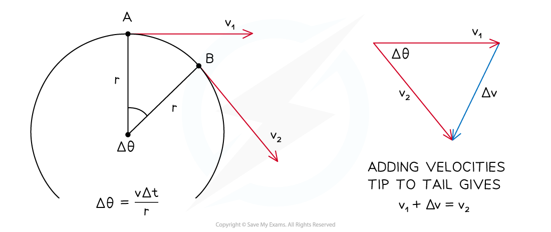 6-1-3-direction-of-acceleration_sl-physics-rn