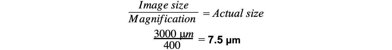 6.-Calculating-Actual-Size-equation