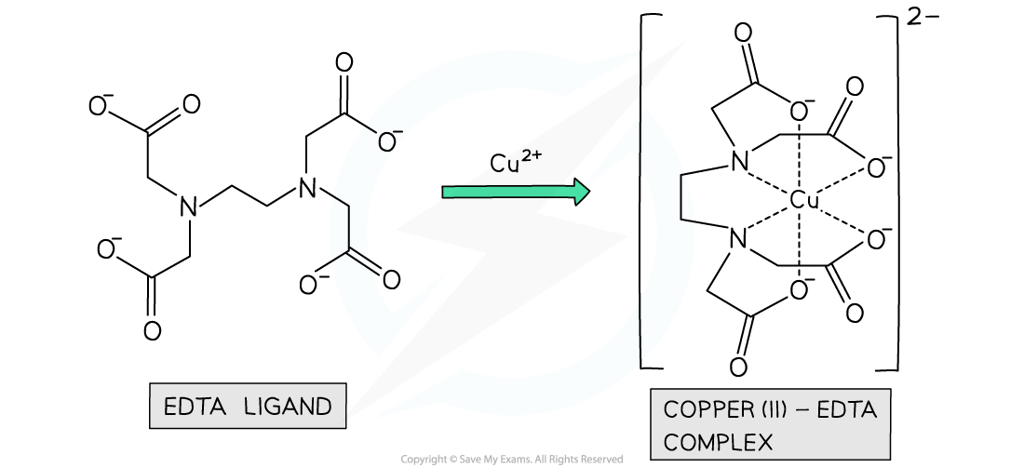 6.2-Chemistry-of-Transition-Elements-Polydentate-Ligands_2