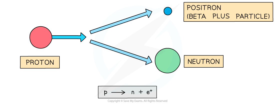 6.2.5-Beta-plus-decay-GCSE-1