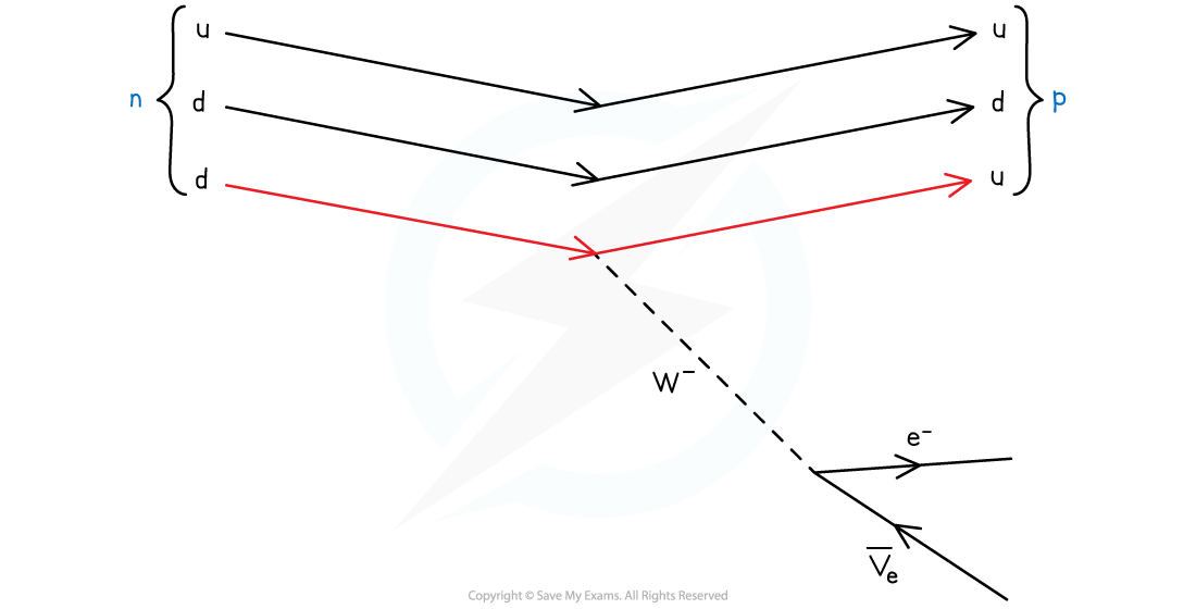 7-3-6-beta-minus-decay_sl-physics-rn