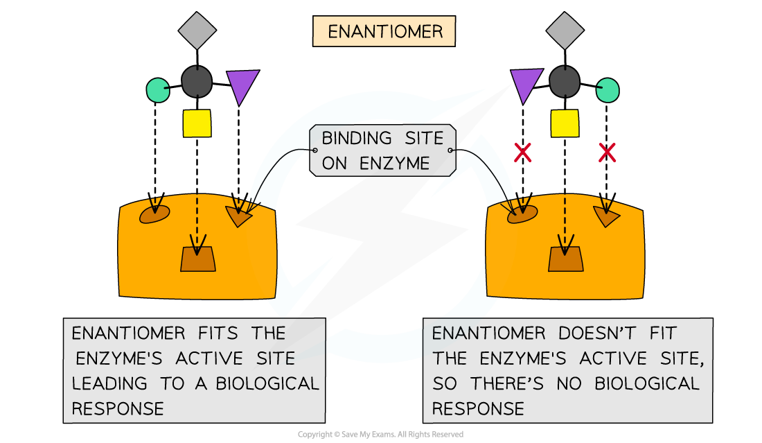 7.1-Organic-Chemistry-Biological-Activity-of-Enantiomers