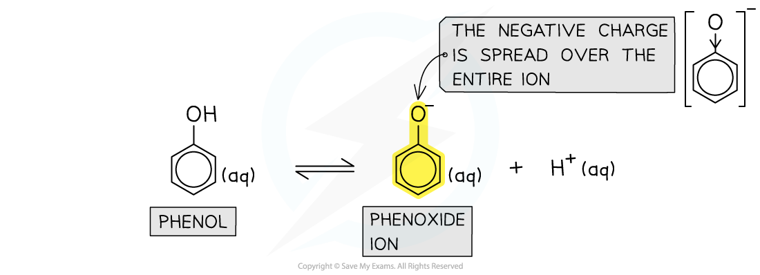 7.4-Hydroxy-Compounds-Delocalisation-in-Phenol