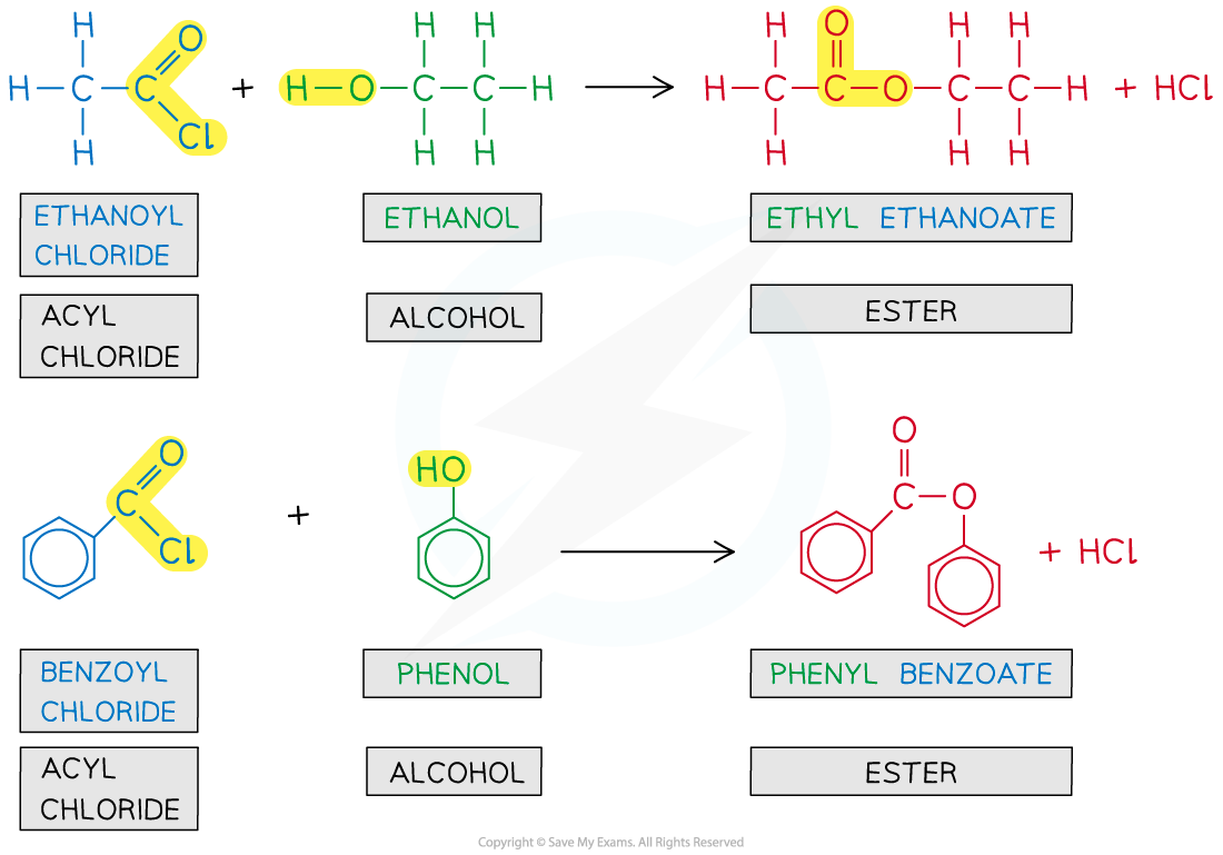 7.5-Carboxylic-Acids-_-Derivatives-Esterification-Reactions