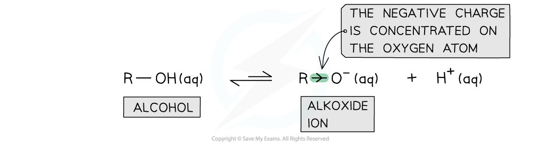 7.5-Carboxylic-Acids-_-Derivatives-Stability-of-Alkoxide