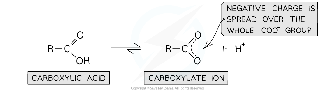 7.5-Carboxylic-Acids-_-Derivatives-Stability-of-Carboxylate