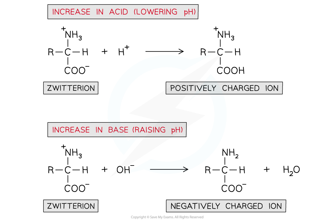 7.6-Nitrogen-Compounds-Buffer-Solution-of-Amino-Acids