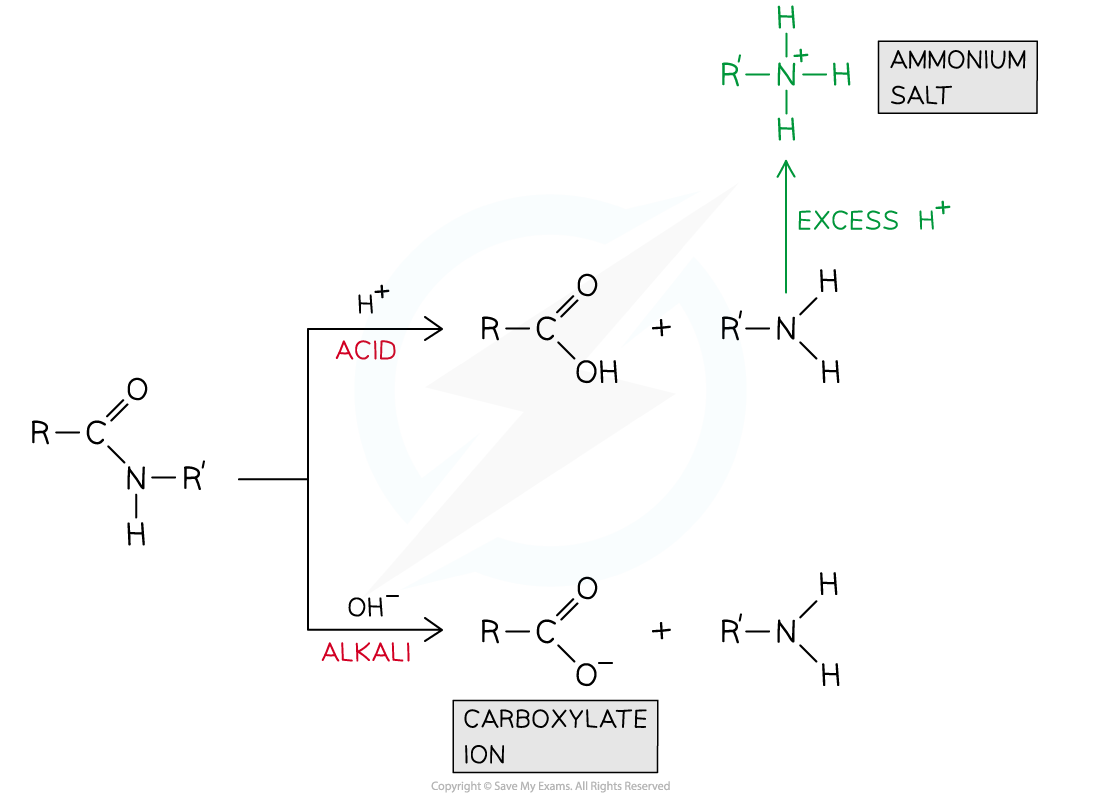 7.6-Nitrogen-Compounds-Hydrolysis-of-Amides