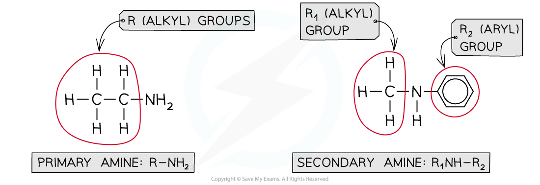 7.6-Nitrogen-Compounds-Primary-and-Secondary-Amines