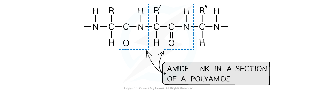 7.7-Polymerisation-Amide-Link