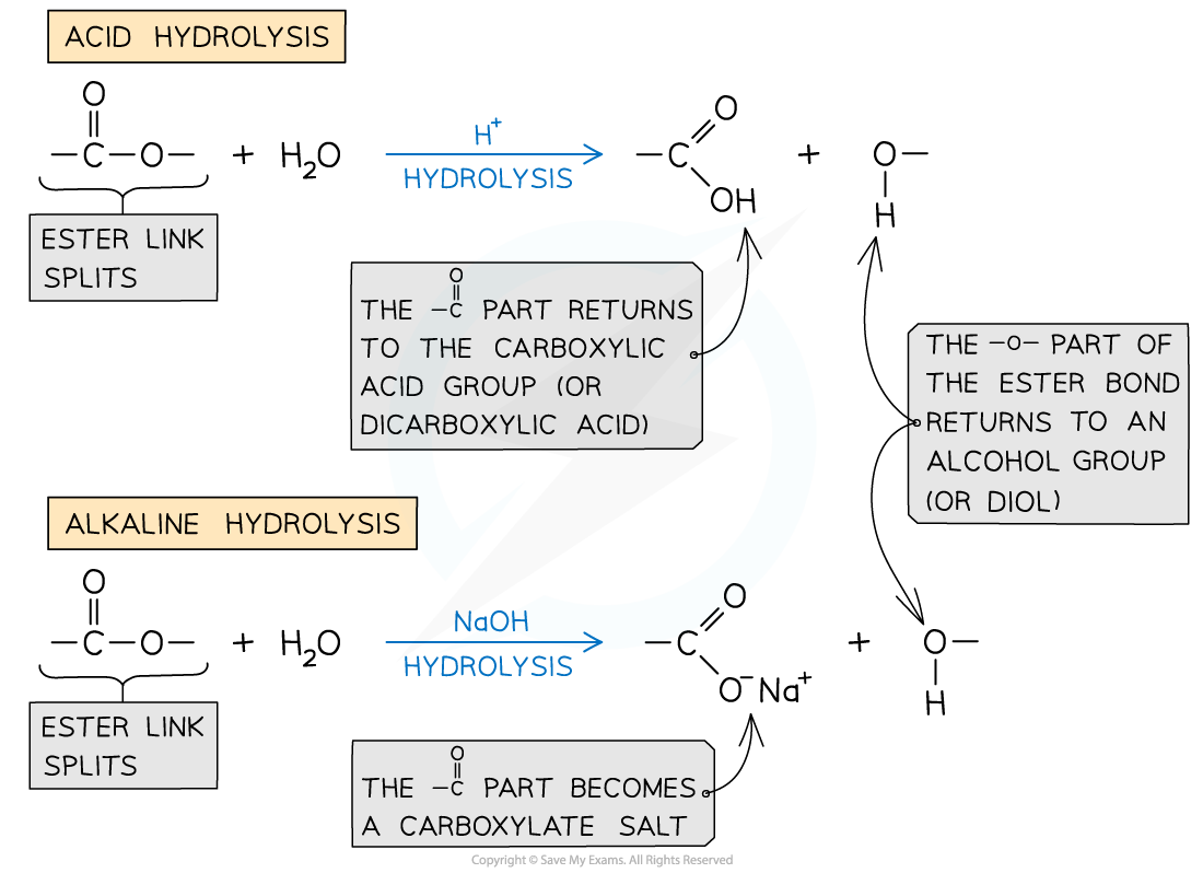 7.7-Polymerisation-Ester-Hydrolysis