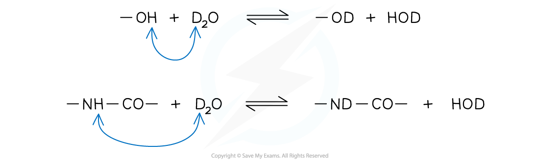 8.1-Analytical-Techniques-Proton-Deuterium-Proton-Exchange