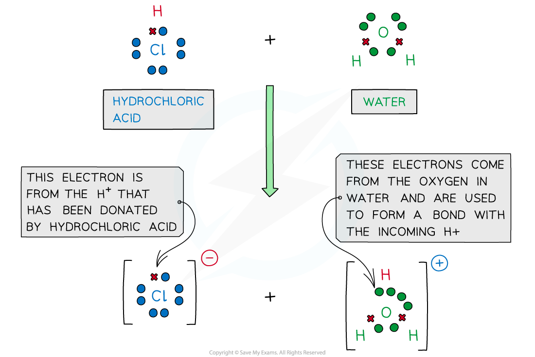 8.1.2-Lewis-Diagram-of-Reaction-between-Water-and-Hydrochloric-Acid