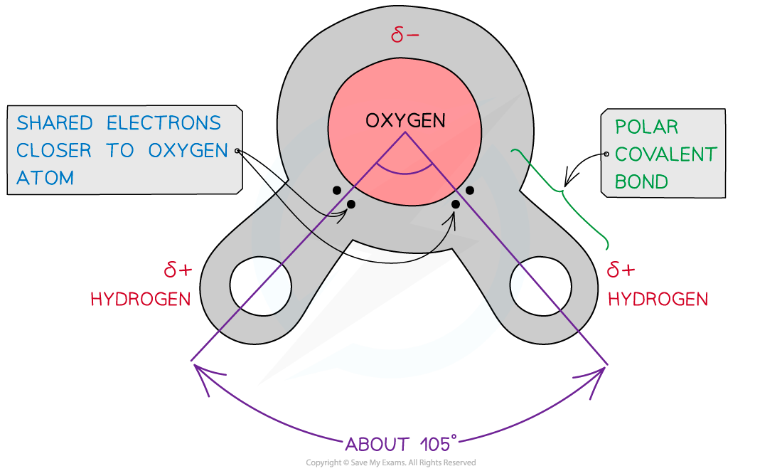 A-water-molecule