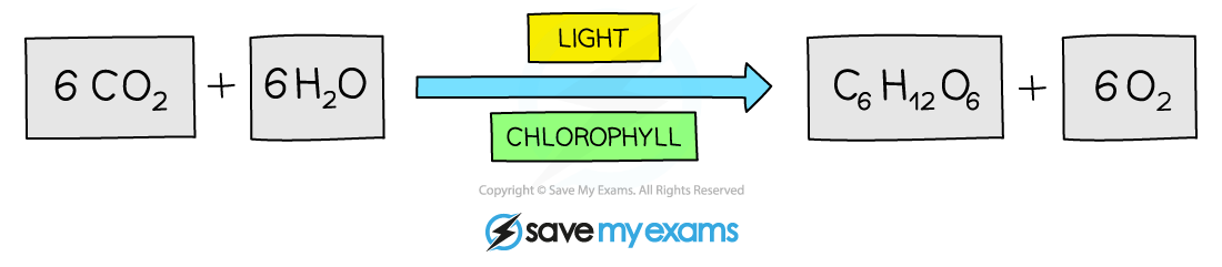 Balanced-chemical-equation-for-photosynthesis