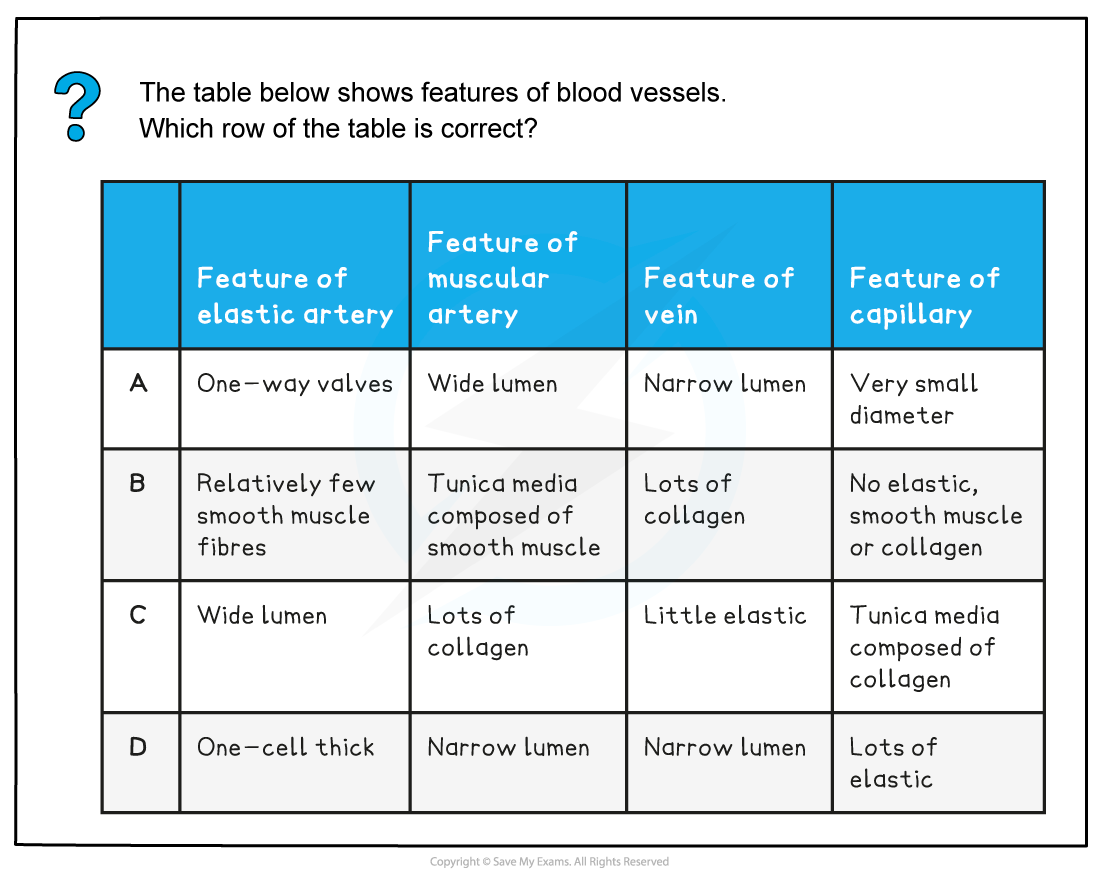CIE A Level Biology 8 1 4 Blood Vessels Structures Functions 