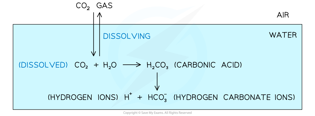 Carbon-Dioxide-in-Solution