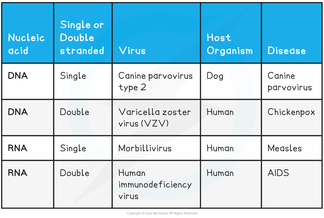 Classification-of-Viruses-Table