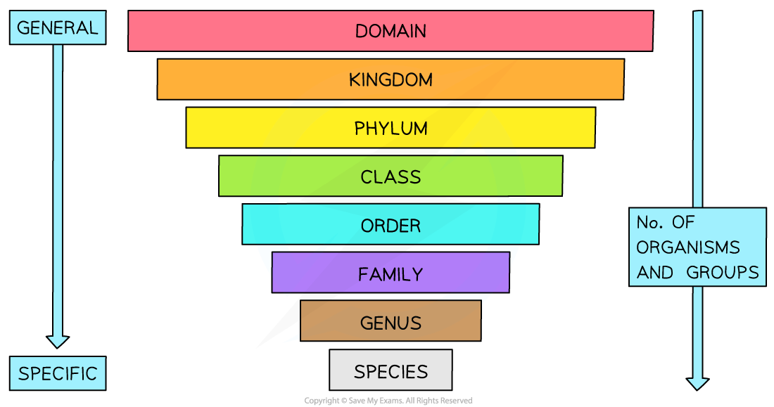 Classification-system