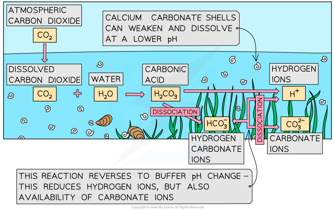 Climate-Change-Coral-Reefs