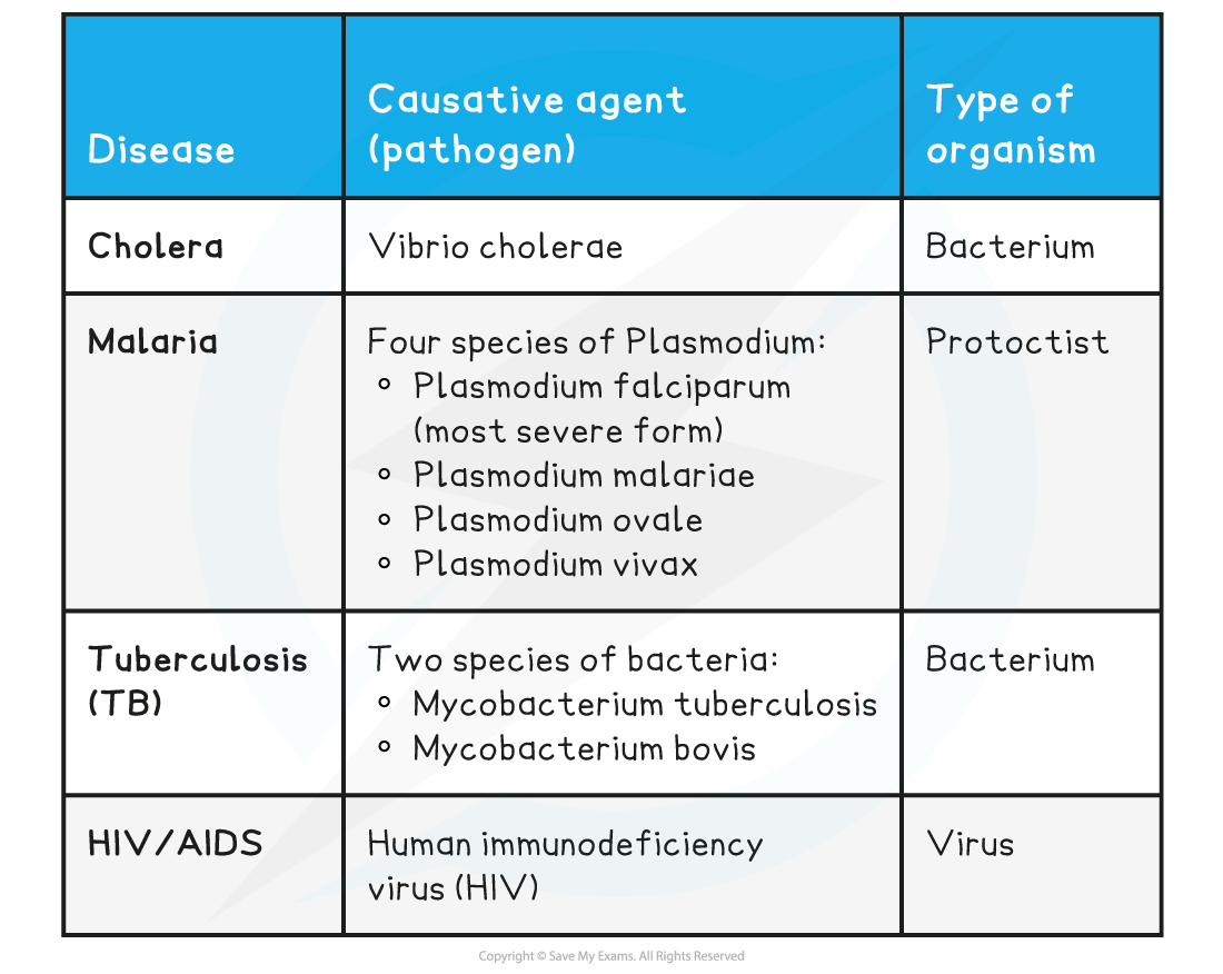 Common-pathogens-their-diseases-table
