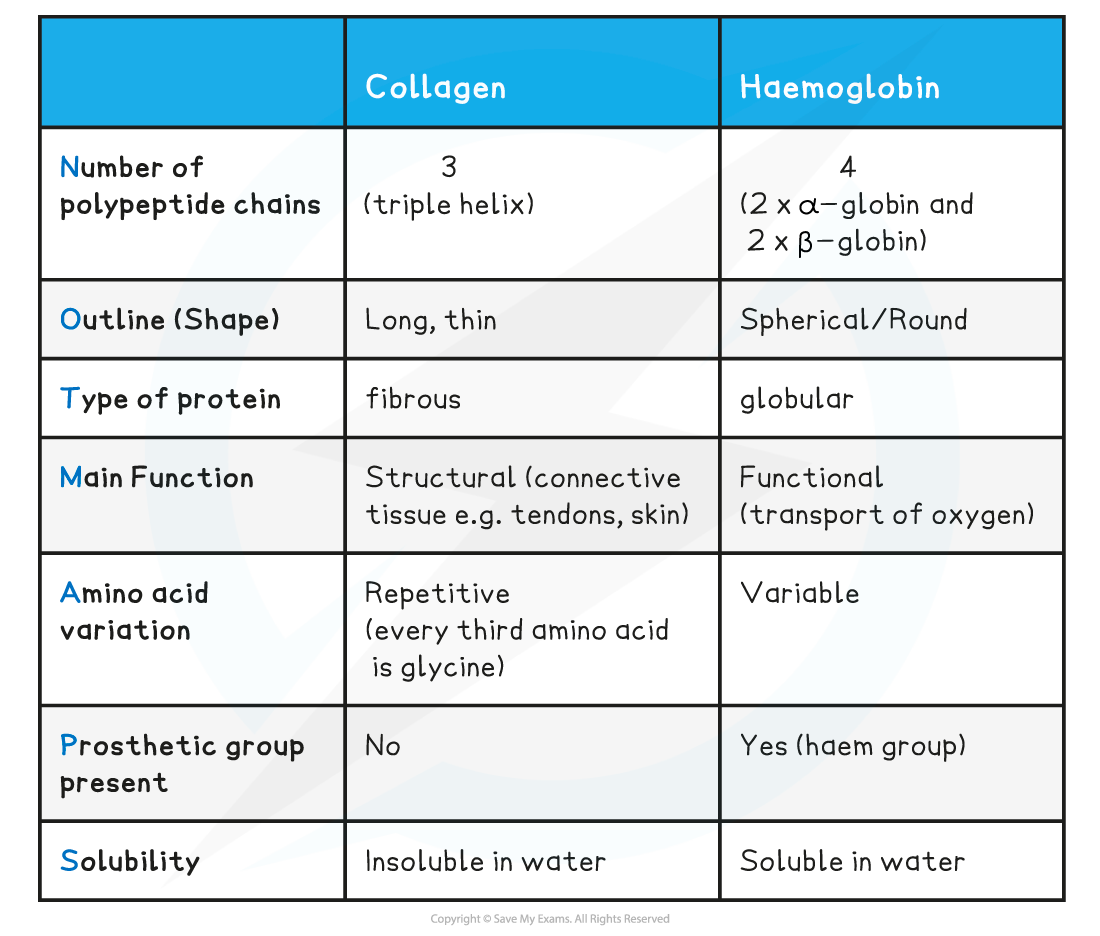 Comparison-between-collagen-haemoglobin-table