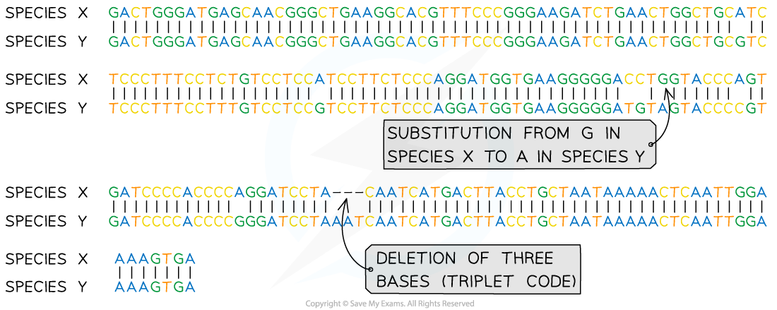 Comparisons-of-DNA-sequences