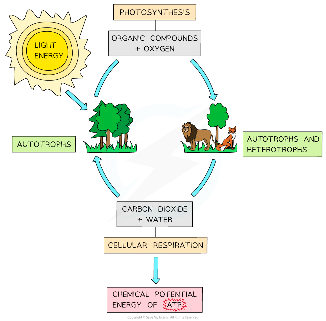 Energy-cycle